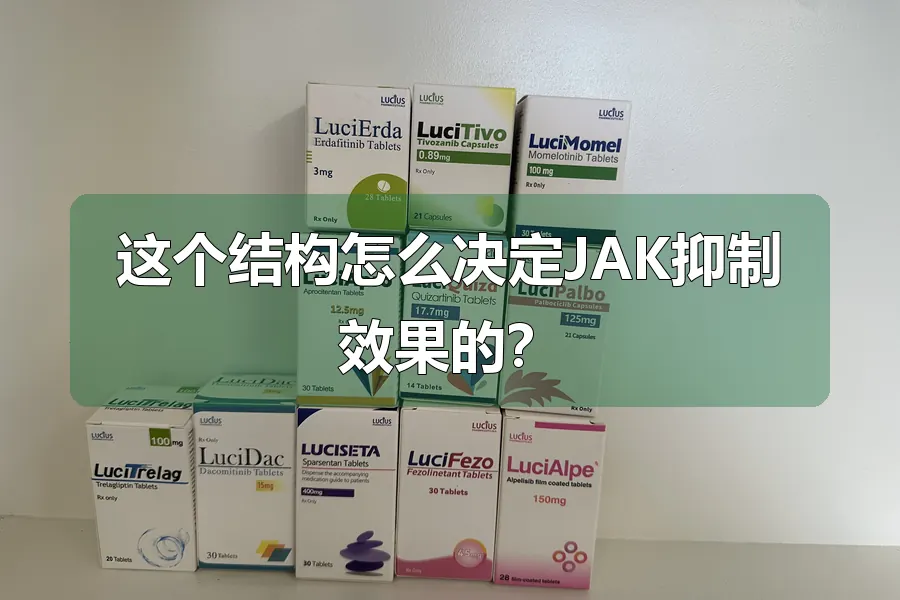 这个结构怎么决定JAK抑制效果的?